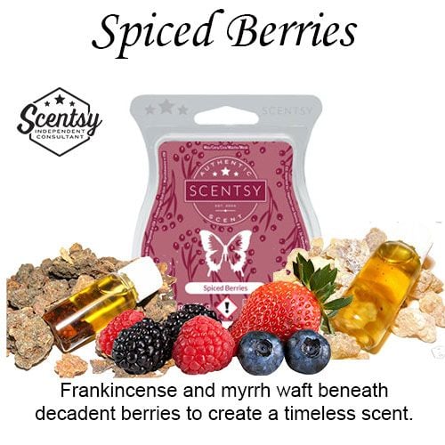 Spiced Berries Scentsy Bar wick free scented candles