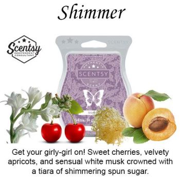 Shimmer-Scentsy-Wax-Bar