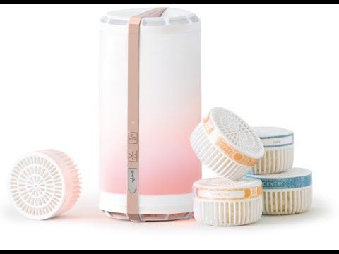 scensty go and pods