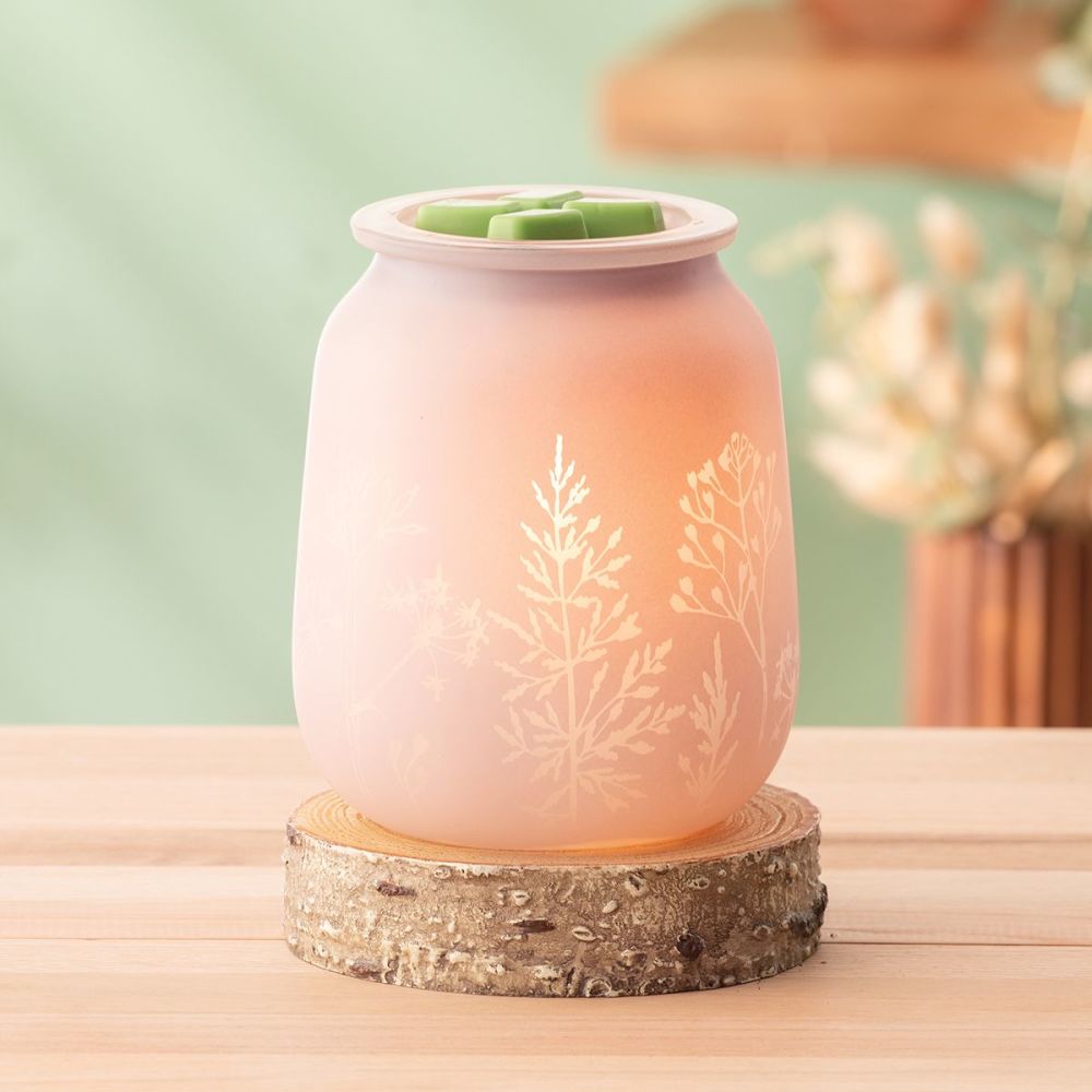 Thyme After Thyme Scentsy Warmer