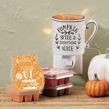 Everything Nice Scentsy Mini Warmer with Wall Plug