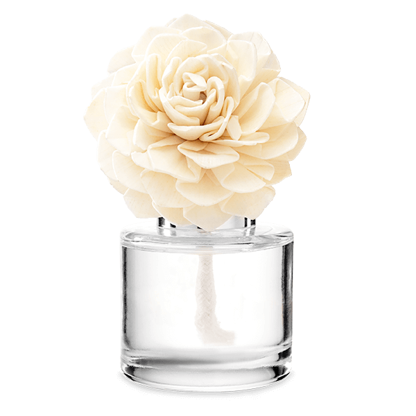 Cozy Cardigan – Dahlia Darling Scentsy Fragrance Flower