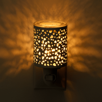 Lit with Love Scentsy Mini Warmer with all plug in