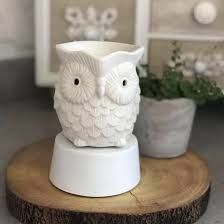 Whoot Owl Scentsy Mini Warmer with table top base