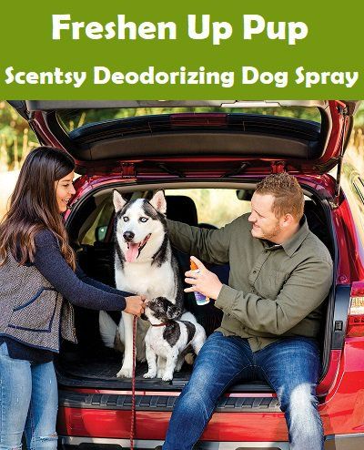 Freshen Up Pup Dog Deodorizing Spray