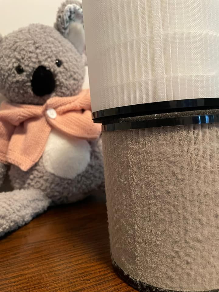 Scentsy Air Purifier filter before and after