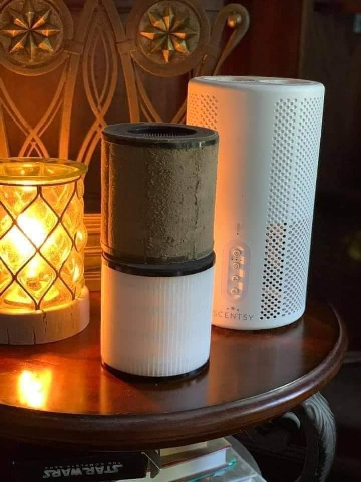 Scentsy Air Purifier dirty filter