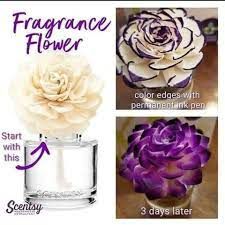 Scentsy Fragrance Flower purple