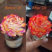 Scentsy Fragrance Flower trend before and after