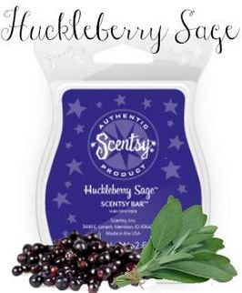huckleberry sage scentsy bar