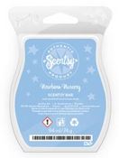 newborn New UK scentsy fragrance wick free scented candle wax bars online