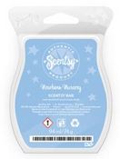 newborn nursery scentsy bar