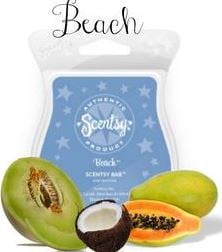 beach scentsy bar