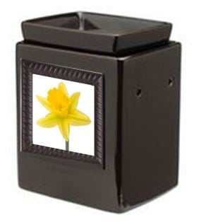 ebony cube gallery warmer and snapshot frame 