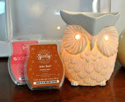 whoot scentsy warmer light up example