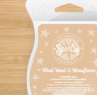 blondewood and moonflower New uk scentsy fragrance wick free candle wax bars
