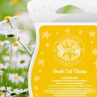 fresh cut daisies New uk scentsy fragrance wick free candle wax bars