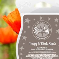 poppy and blush suede New uk scentsy fragrance wick free candle wax bars