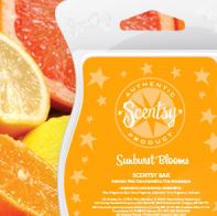 sunburst blooms New uk scentsy fragrance wick free candle wax bars