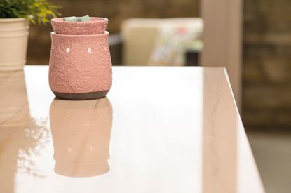 cracking rose scentsy warmer