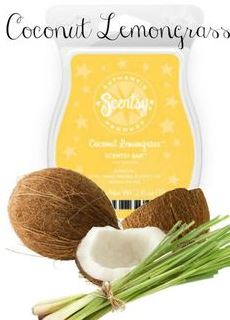 SCENTSY DUFT BAR Duftwachs Wachs Wax Melts Coconut Lemongrass Neu OVP EUR  7,00 - PicClick DE