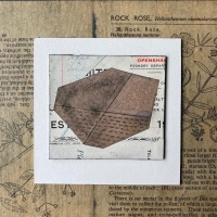 Fragment Collage : 10
