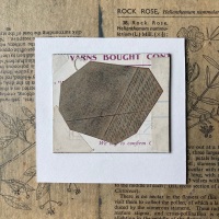 Fragment Collage : 21