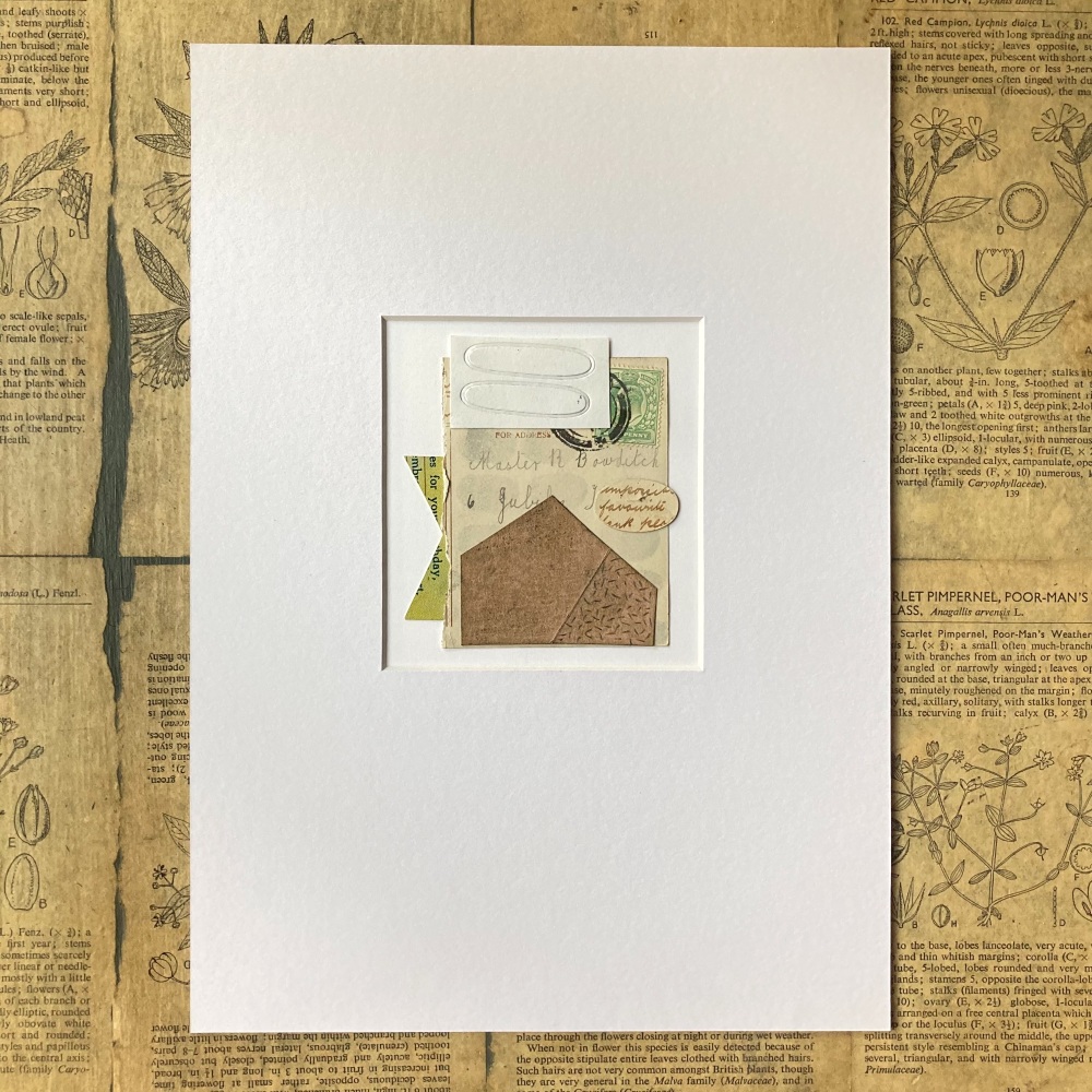 Chatter Collage : 30