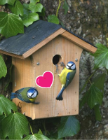 Valentines nest box special - Saturday 16th February - 10am-12pm