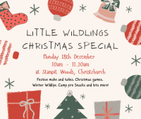 Additional child/sibling - Monday 18th December - 10am - 11.30am