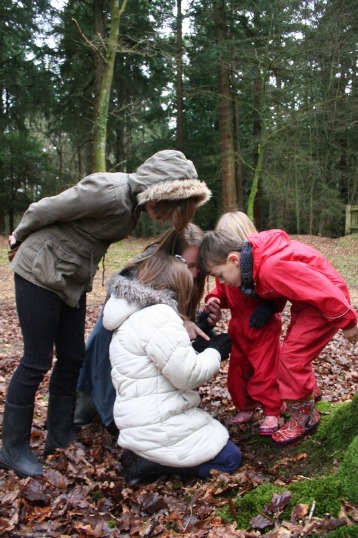 Kids looking at bug Kids looking at bug