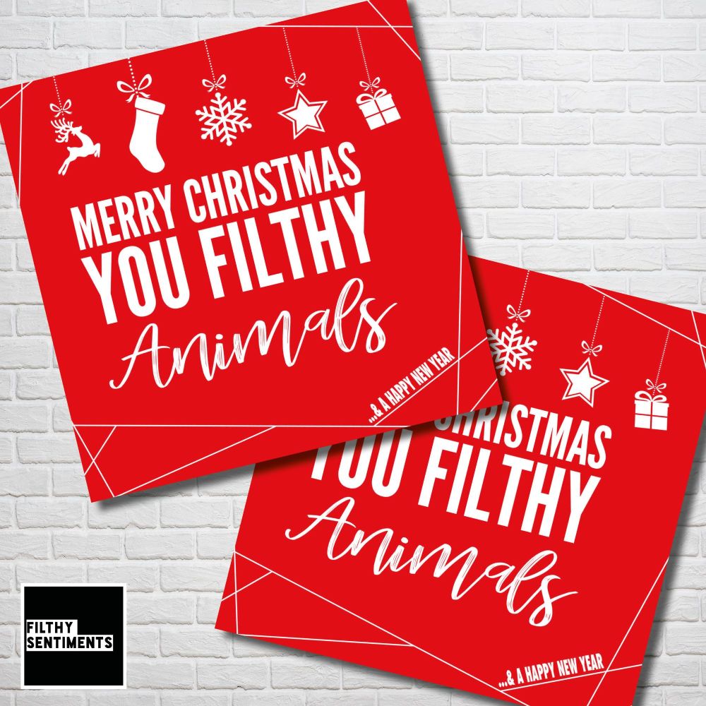 MERRY CHRISTMAS FILTHY ANIMALS RED CHRISTMAS CARD PACK - FS354