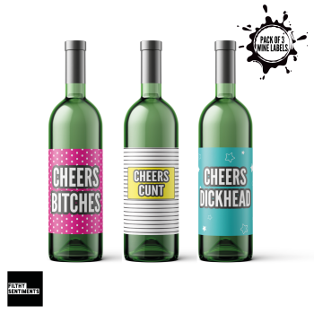  CHEERS PACK OF 3 WINE BOTTLE LABELS - E33