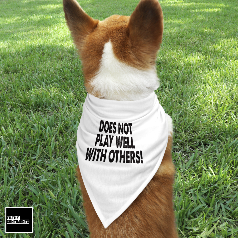 DOESN'T PLAY WELL WITH OTHERS PET BANDANA - PB007