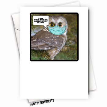                              OWL CARD - FS1120