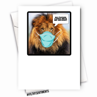                              LION CARD - FS1125