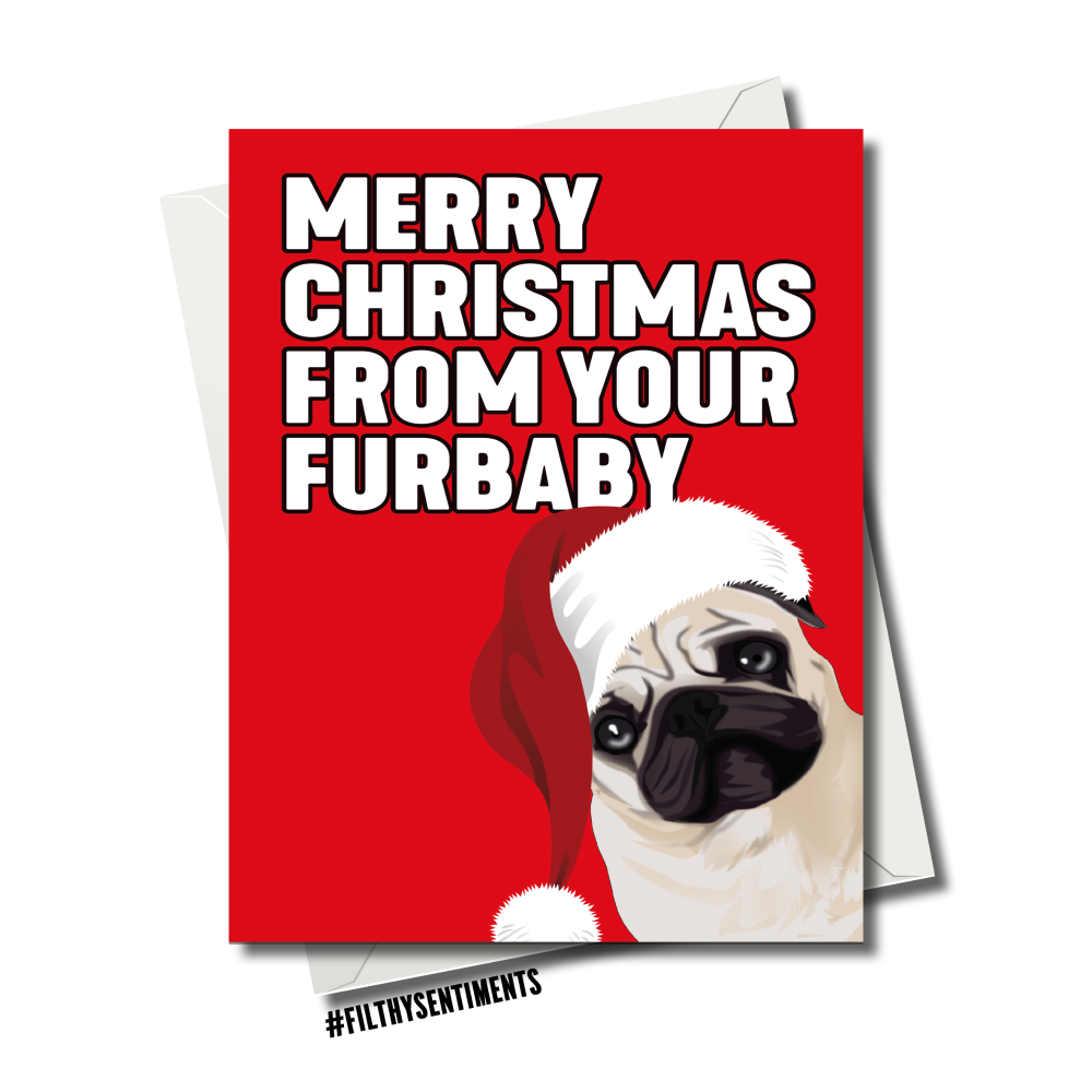                   FURBABY CHRISTMAS CARD