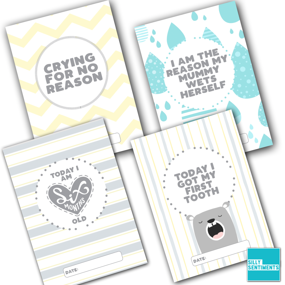        SILLY SENTIMENTS MILESTONE  CARDS - E30