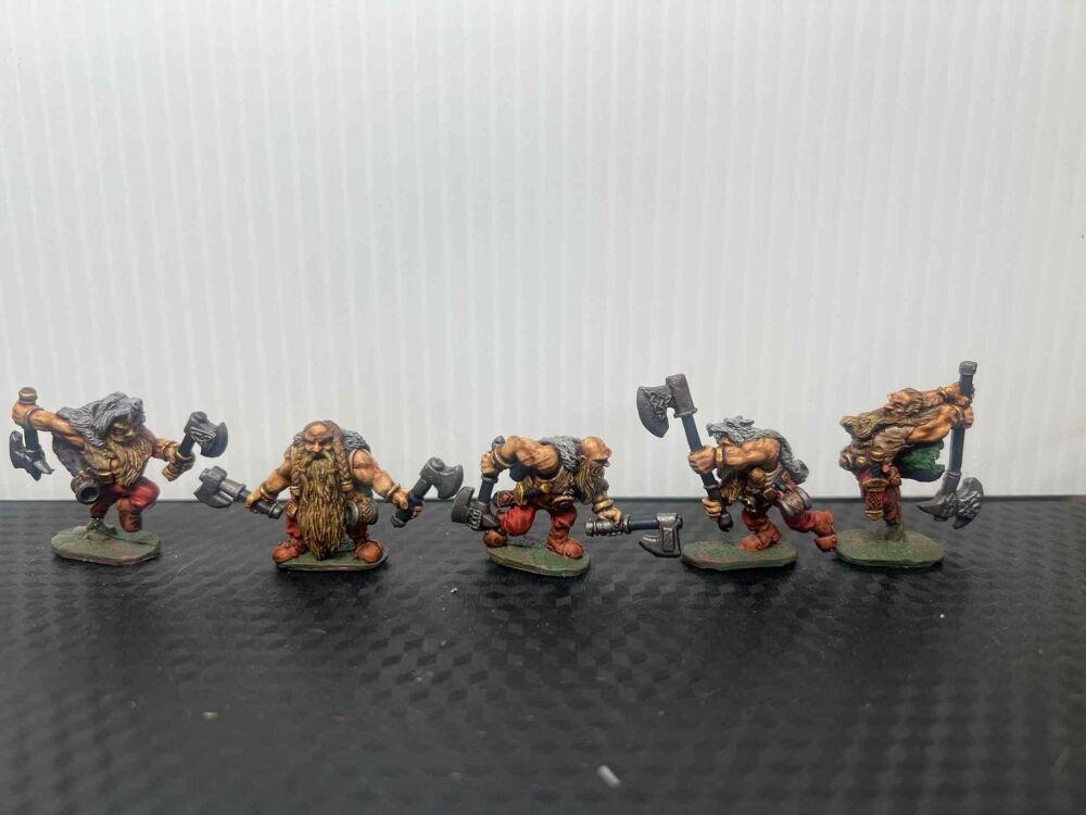 DW10: 28mm Dwarf Beserkers