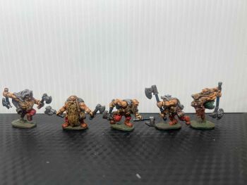 DW10: 28mm Dwarf Beserkers