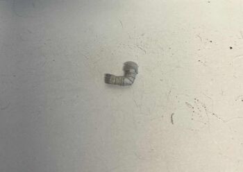 DW35: 28mm Dwarf Cavalry Arm (plain)