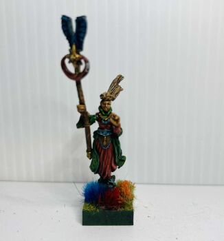 EL3: 28mm Elf Wizard