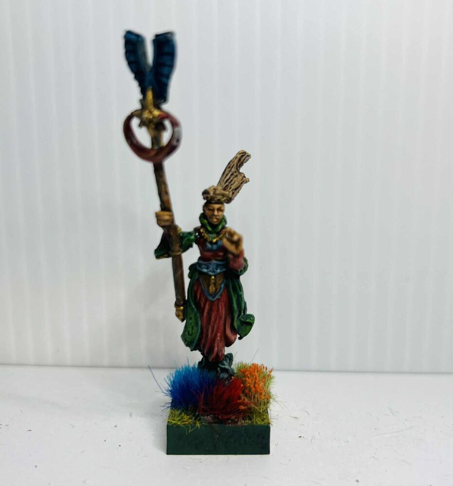 EL3: 28mm Elf Wizard