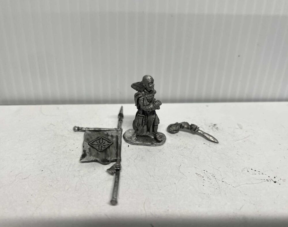 EL5: 28mm Elf Standard Bearer