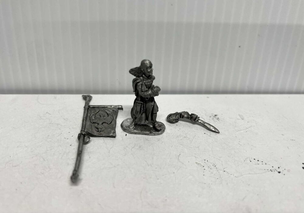 EL6: 28mm Elf Standard Bearer 2