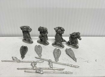 EL12: 28mm Elf Warriors with Shield & Spear (mixed)