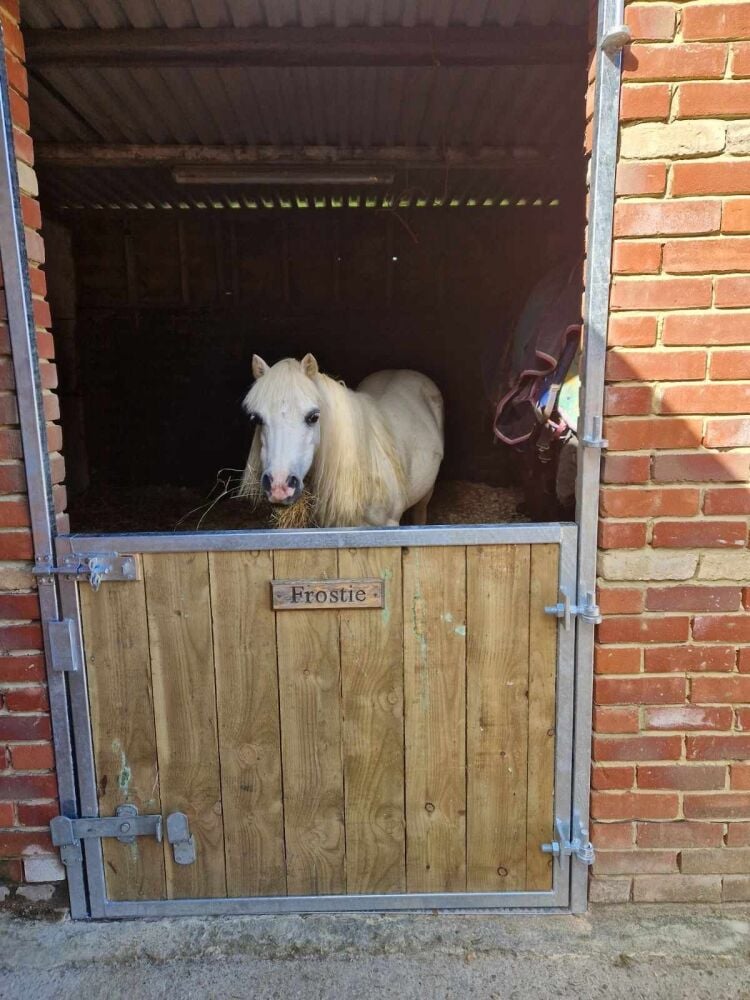 AGRI-FABS Premium Bottom Stable Door