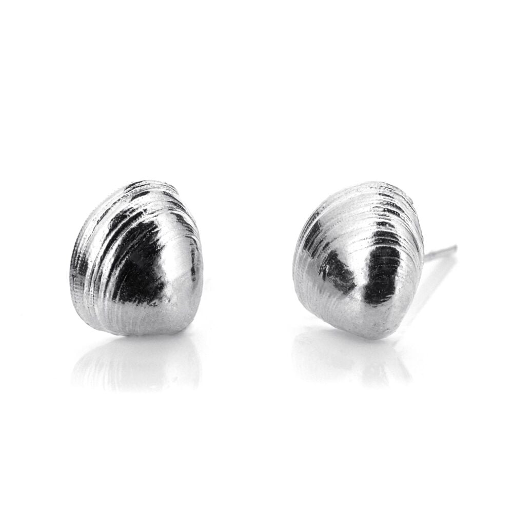 Clam Shell Ear Studs