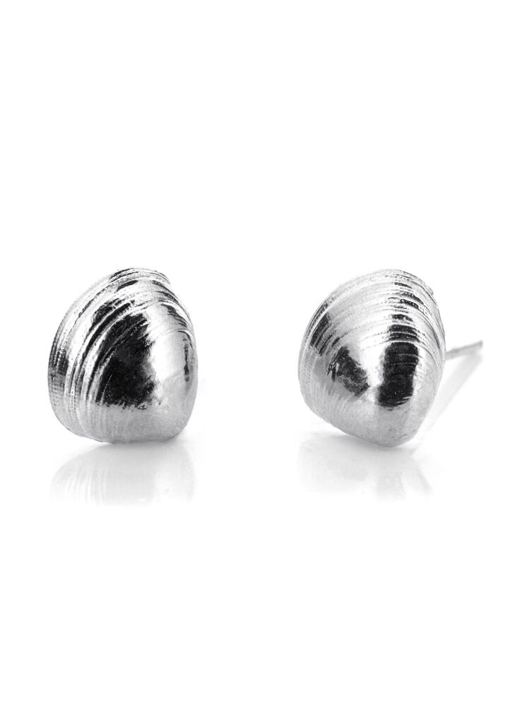 Clam Shell Ear Studs