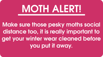 Moth Alert - Pearls Drycleaners